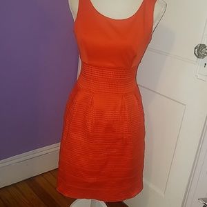 New York and Company Dress
